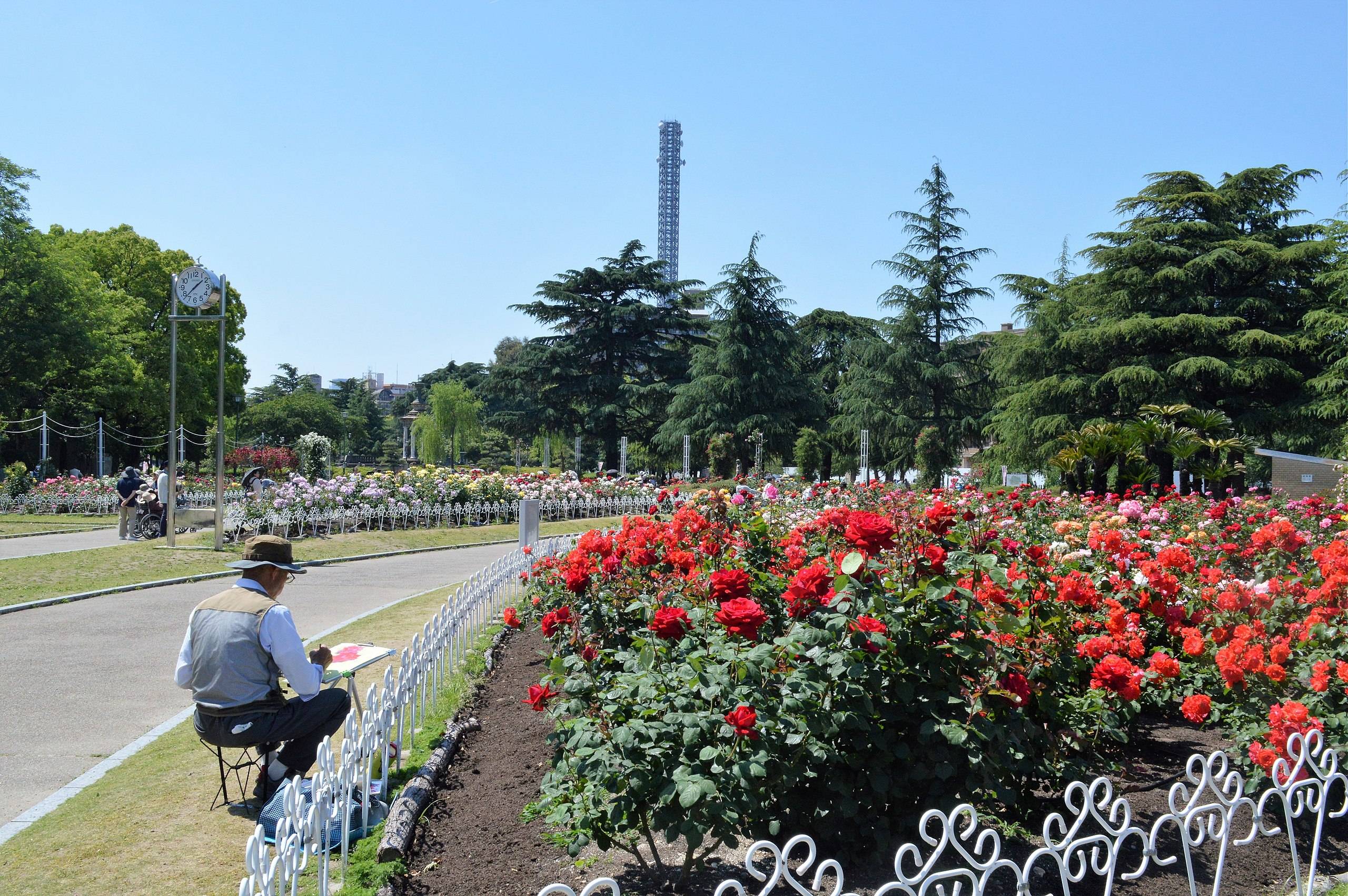 🌸 학무공원(쓰루마 공원) 이미지 9